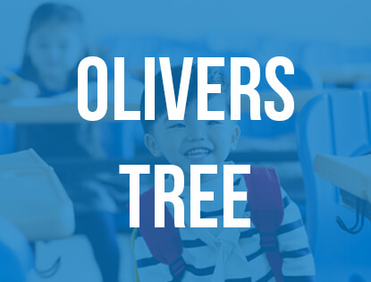 blog olivers tree ihus